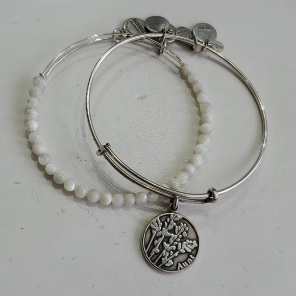 Alex and Ani Aunt Silvertone 2-bracelet Gift Set - Picture 2 of 8